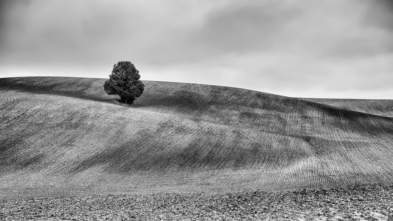 _FEL0226