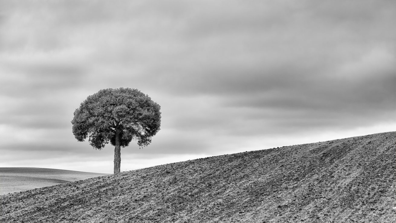 _FEL0267