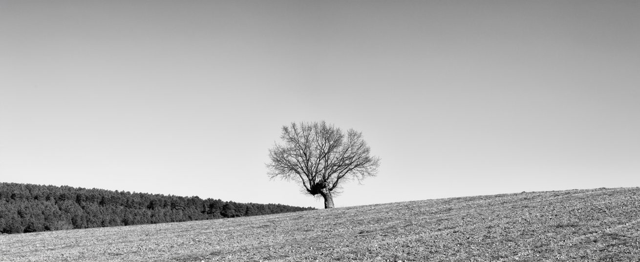 _FEL0636-Pano