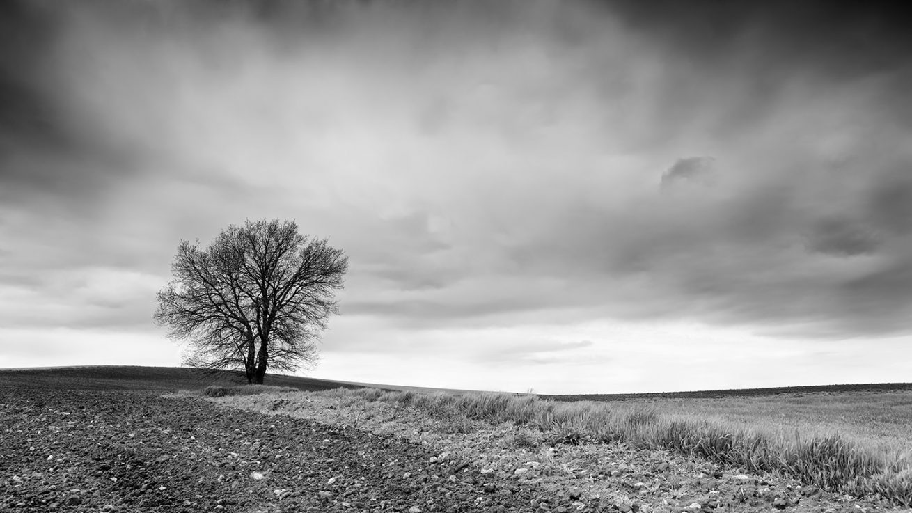 _FEL5559