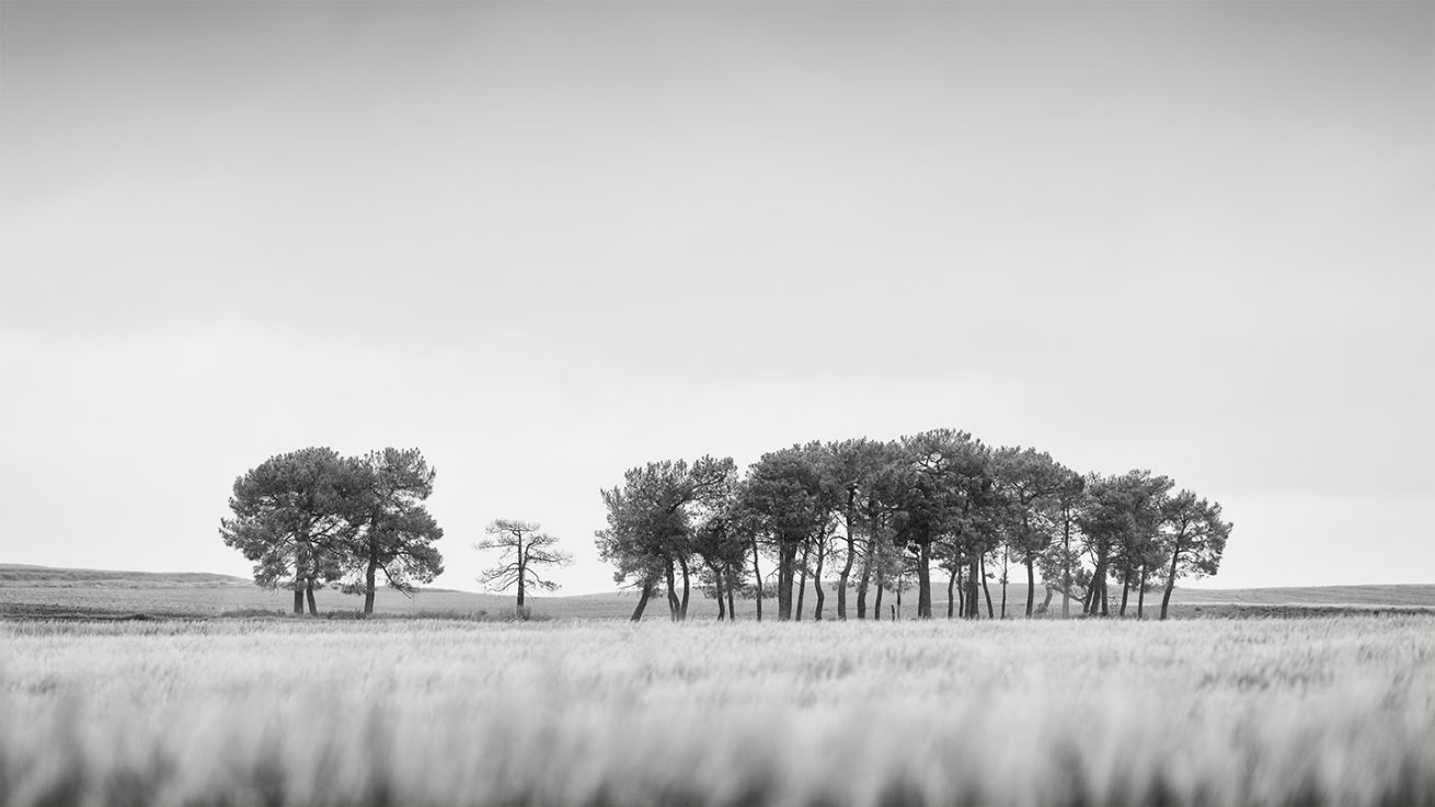 _FEL6109