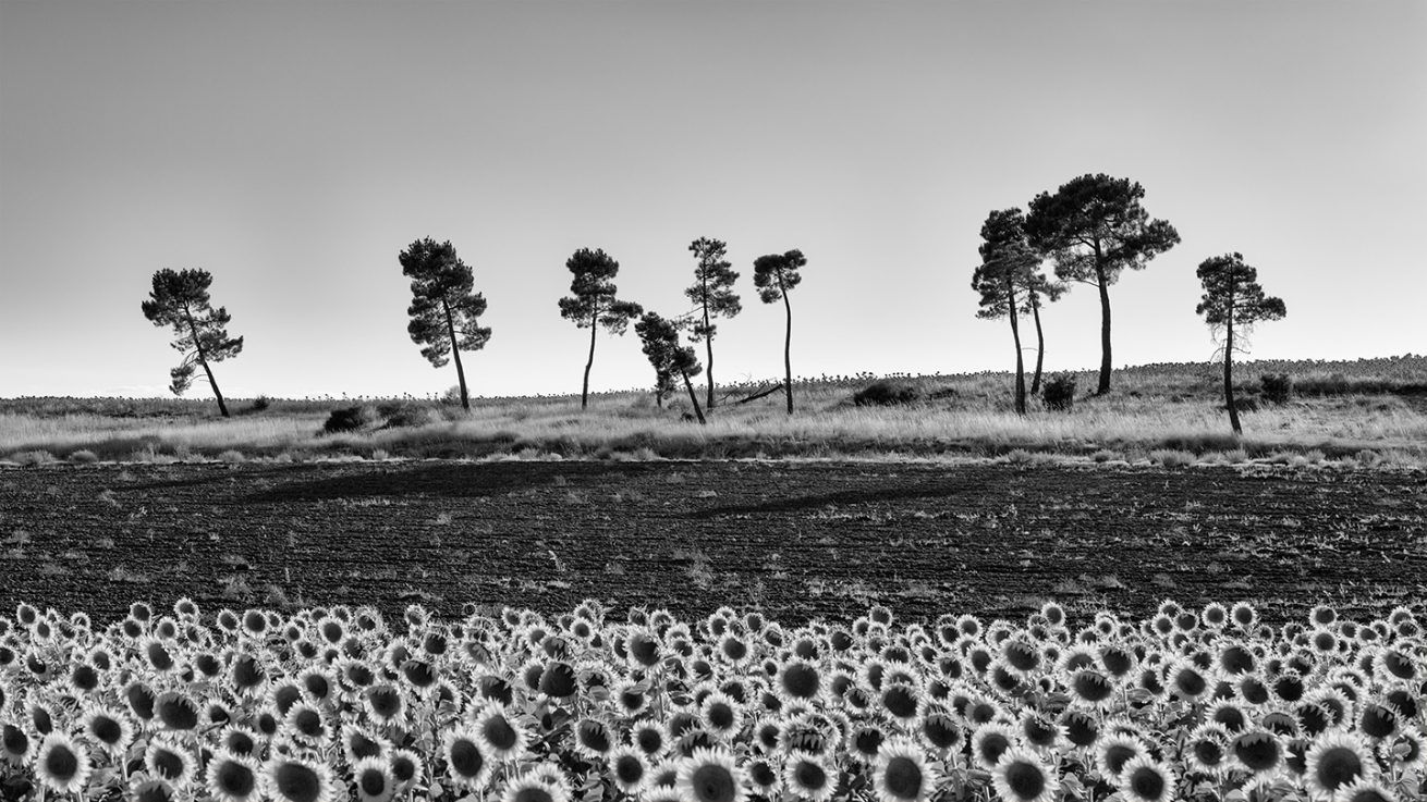 _FEL7034