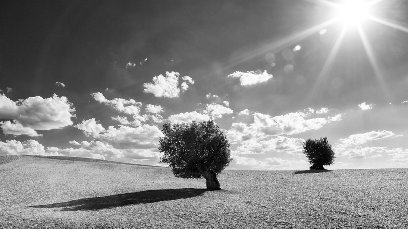 _FEL7591