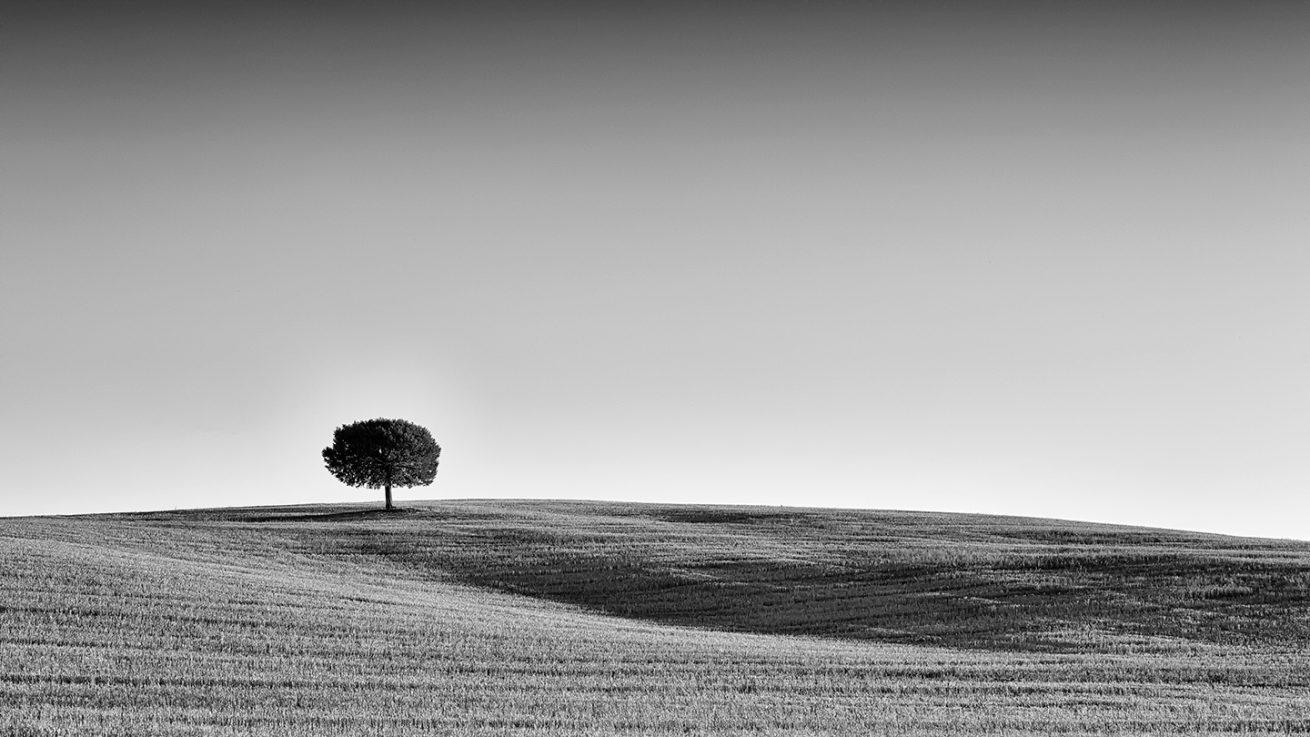 _FEL8393