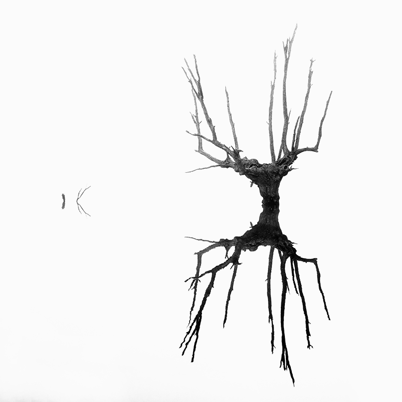 _FEL9787_b