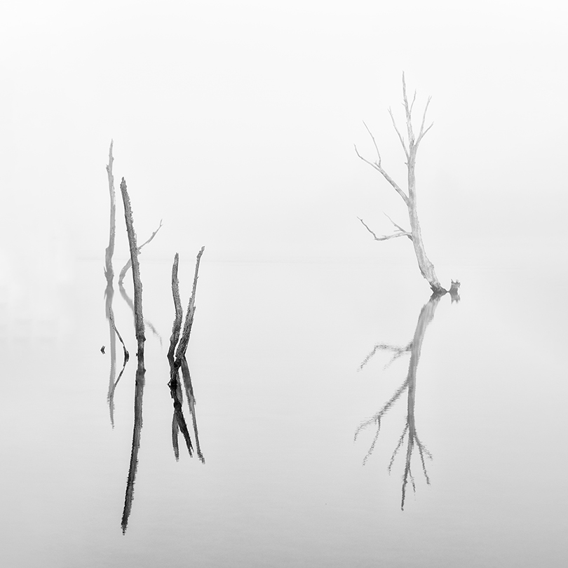 _FEL9863
